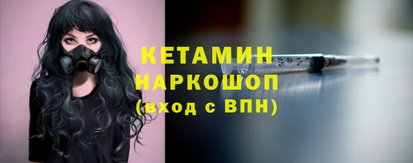 шишки Пестово