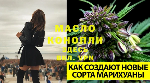 кокс Семикаракорск