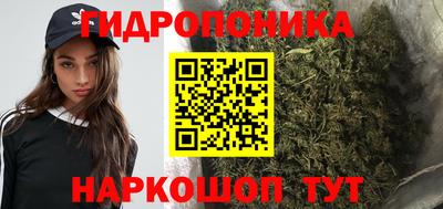 каннабис Гай