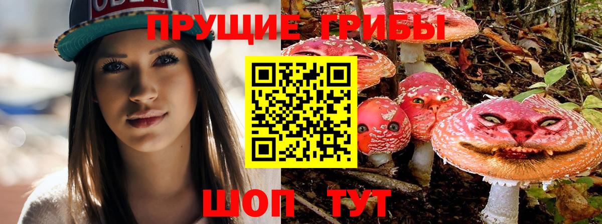 закладки  Галлюциногенные грибы мицелий  Вход с VPN  Галлюциногенные грибы Psilocybine cubensis  Можайск 