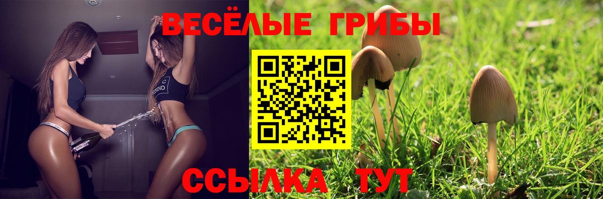 Псилоцибиновые грибы мицелий Можайск